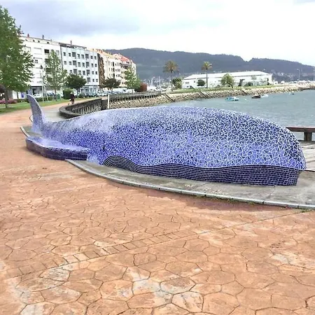 Atico Ria De Vigo * Moaña